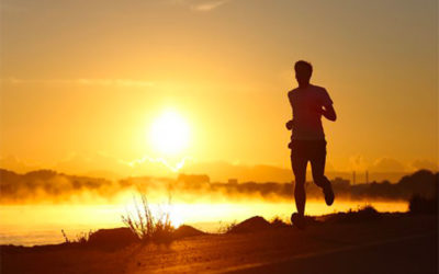 Sports D’endurance – Quel Entrainement?