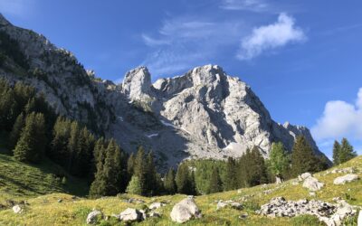 Le trail vous surprendra toujours