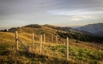 La course n’a pas de saison