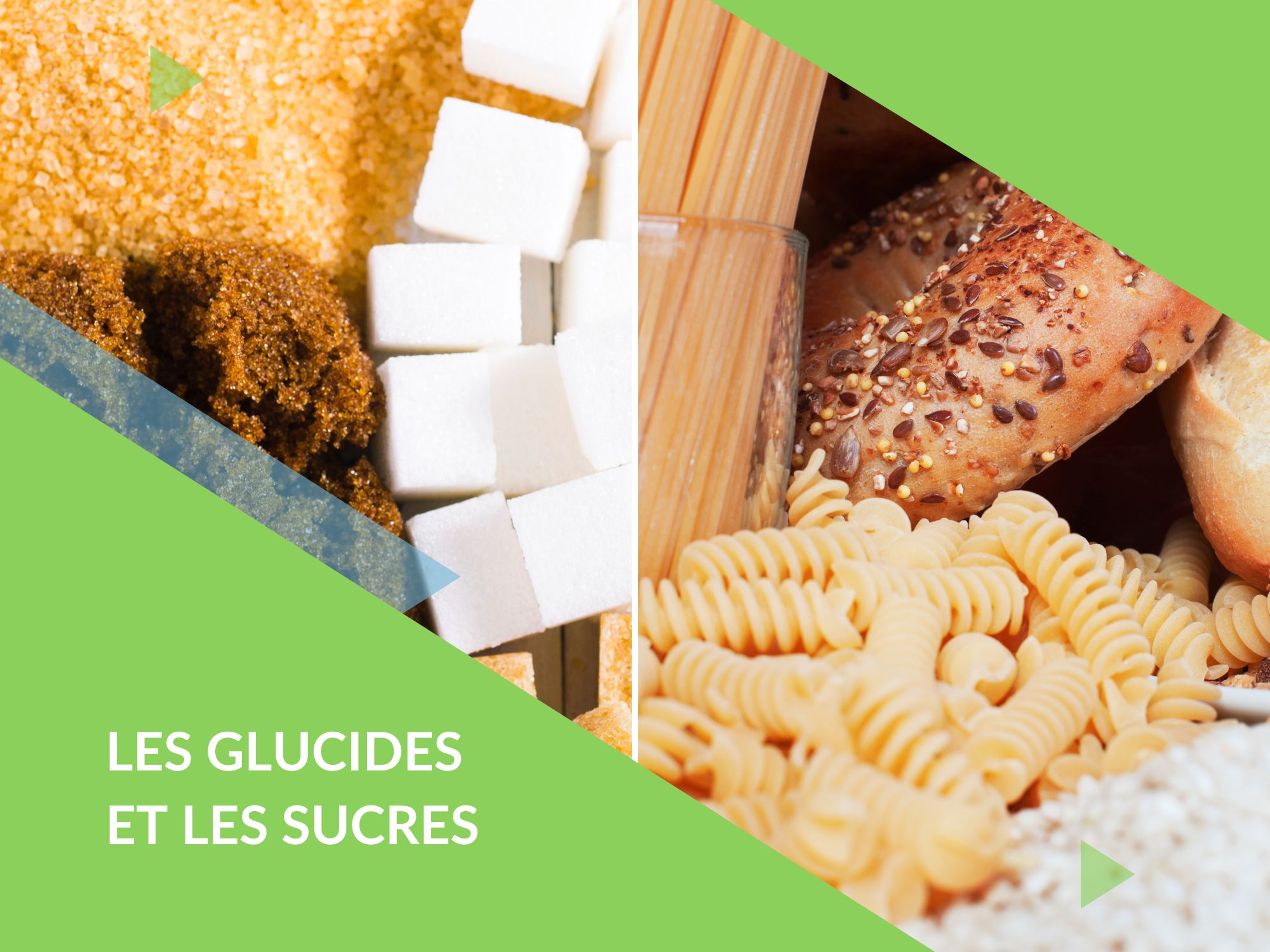 Nutrition les glucides et les sucres Actifisio